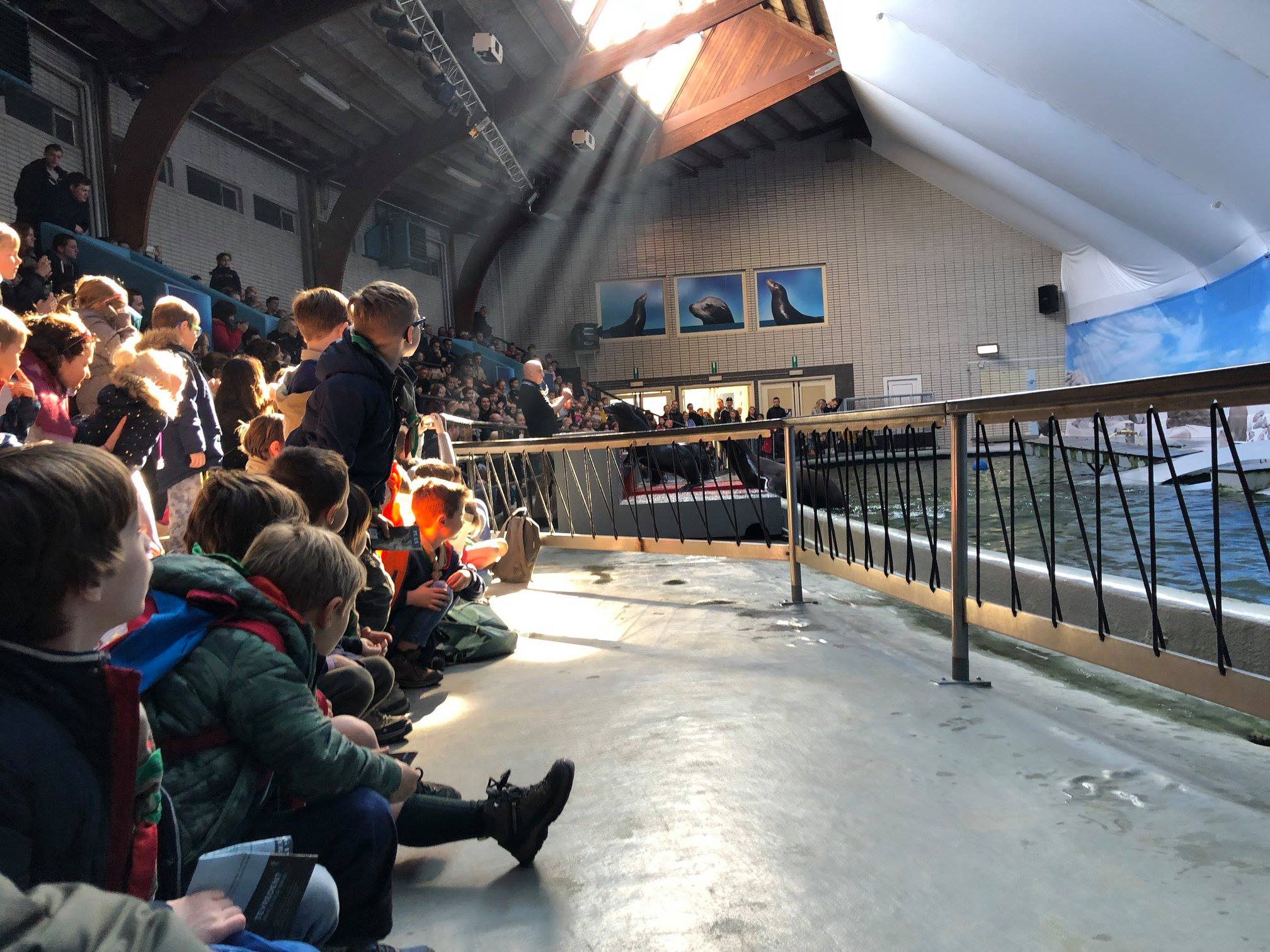 Sint-Martinus den XIIde - Zoo Antwerpen Kapoenen